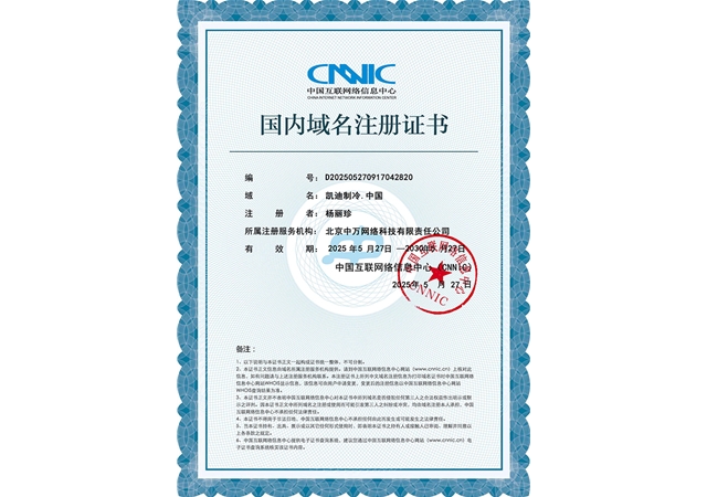 国内域名注册证书