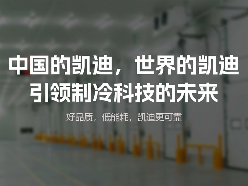 龙凤偕行，以初心铸品牌｜华夏凯迪，奔赴属于中国制冷人的远大征程